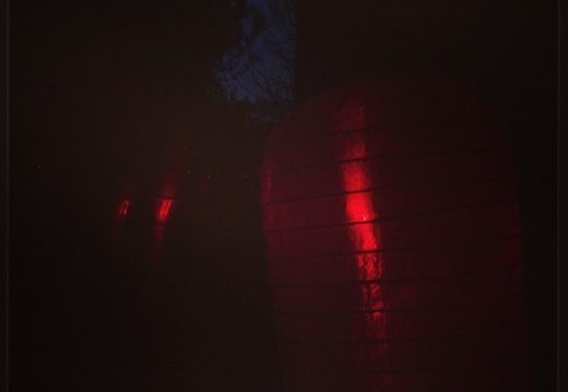 231d353c07a7f23b4ace1ae78e975401