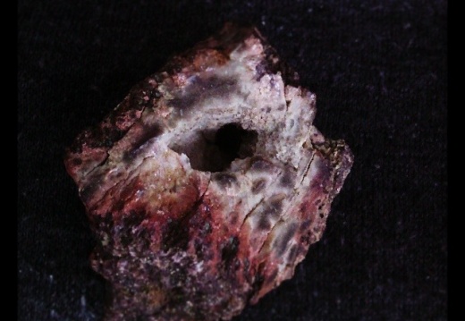 419ae2cfc107143a735559462fa468b1