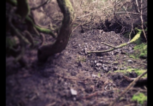 873fc36ca02409fd3e4fed56939e9eef