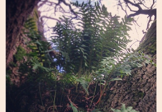 6788c9b594b630cdca052d539dc48d0b