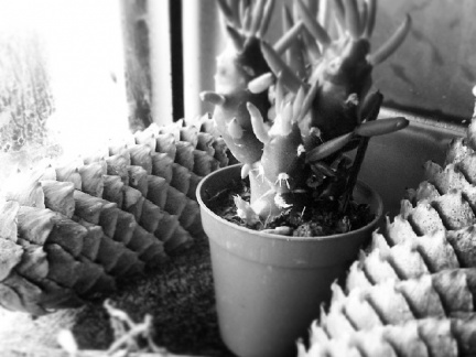 8388b3ce26c1ffdb219f1f22b32f61b5