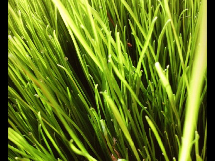 200537023de55166278609e1520b7441