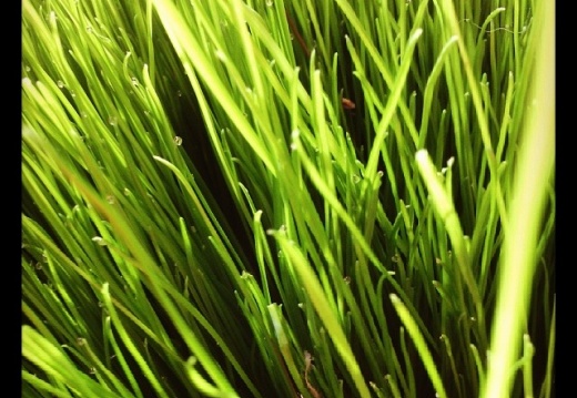 200537023de55166278609e1520b7441