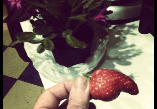 730238528c82246fd64e3f5ccf731be0