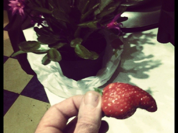 730238528c82246fd64e3f5ccf731be0