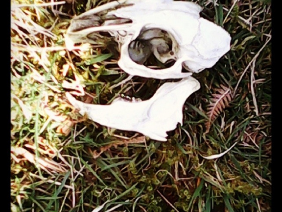 a83493e16a7225f750cc502356427305