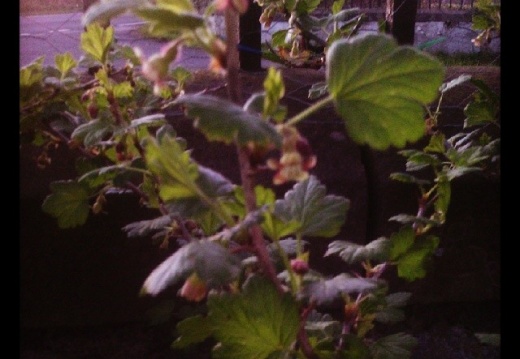 b0b3859cf563fb970367b88b2d5604fe