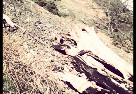 c45b1594c435ea0c09e05dd64b2d2c58