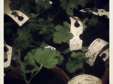 cea7331314a3fffab89b9745ae659775