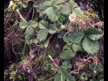 d1abc4d500f3c849d9dbe448760457a1