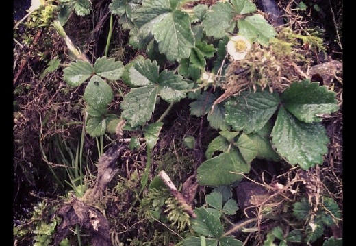 d1abc4d500f3c849d9dbe448760457a1