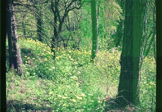 db666b1a97ea8fec88d8242cad571ec9