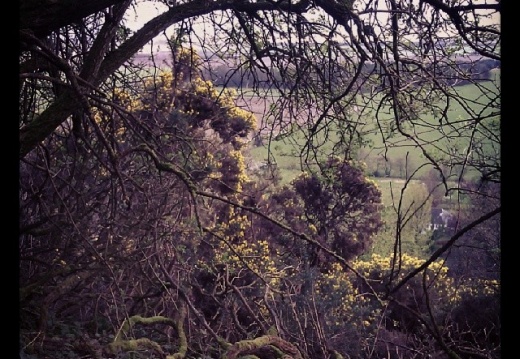 f56a79fe009687be07f75b34bcad7801