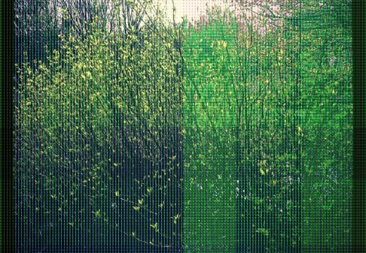 feb9fbae104a7955e33c6c02d7ef489d