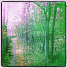 7f0b818afd6251865c89dba401addd30