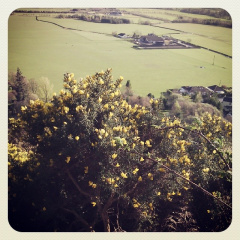 8c0e15a9ce214be8abae739359141c03