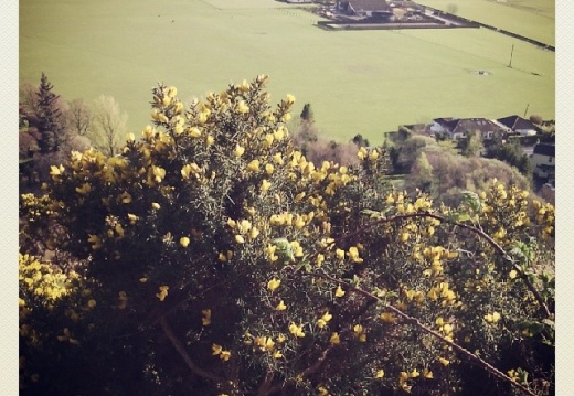 8c0e15a9ce214be8abae739359141c03