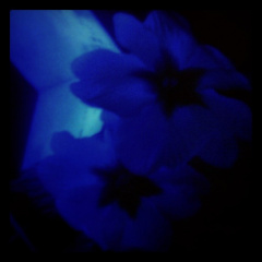 8d2c6e6fae61cb76e8d91d90fe1bfe06