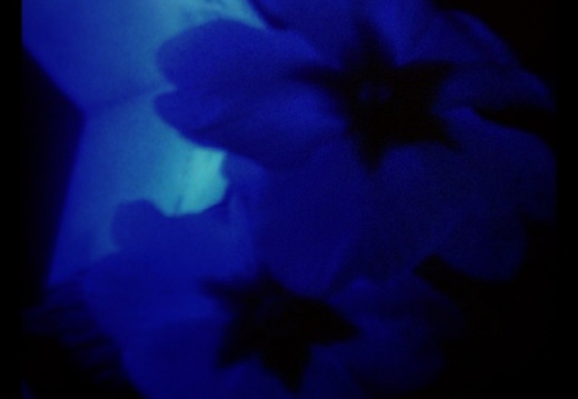 8d2c6e6fae61cb76e8d91d90fe1bfe06