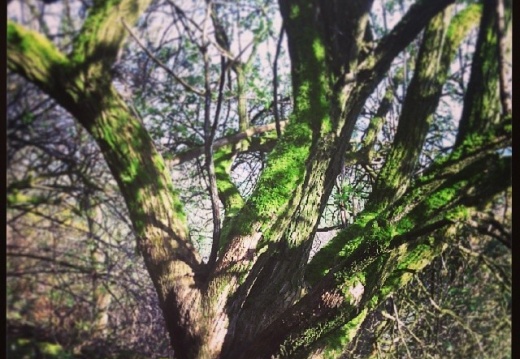 37d27de9a06d8e1c9340baf847eb70c8