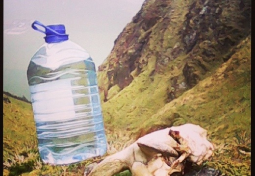 064d28a30b33562d4193609af68d2825