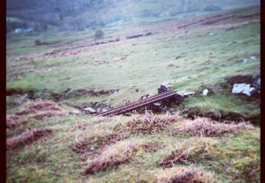 95d8834d52990608dd8bfd2d9cf3442e