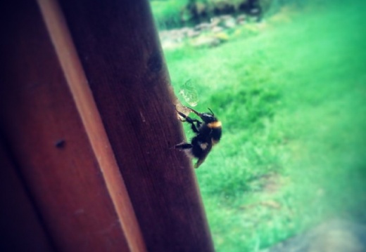 0326a9ef312cd0de164be9a42f154491