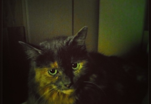 886f5958e89033b980bb62cae27149ea