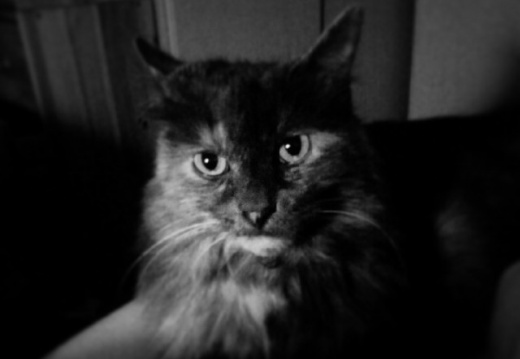 3430a104befc5641b38d617aed5af138