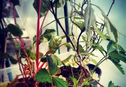 7027b46faf20ad856a67727e12748a93