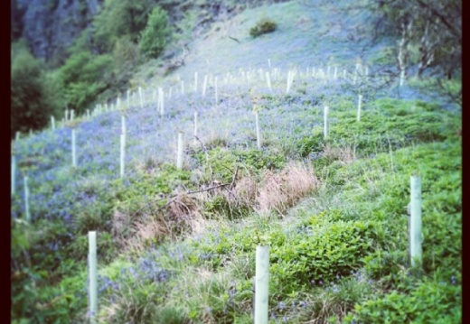 8081f79d9df3ce6f3ab671014d159706