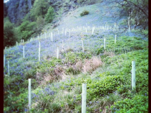 8081f79d9df3ce6f3ab671014d159706