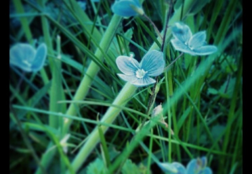 24542ba3f5f7d4ffd2fe1b0e3b5f4e83