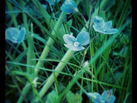 24542ba3f5f7d4ffd2fe1b0e3b5f4e83