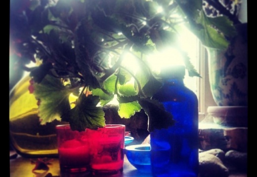 616692dbd8c6871f8359349e7d179063