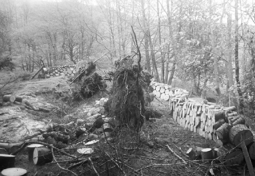 25961498782123510cbae02dd2508d14