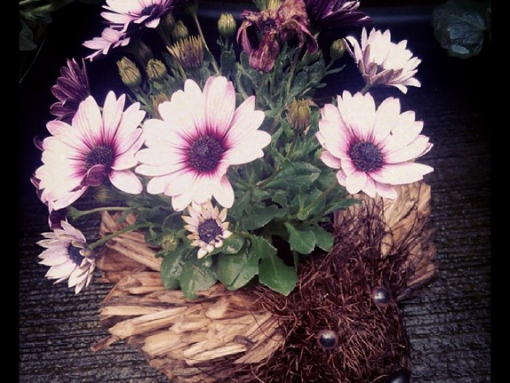 a6da45f52798e3d6ba6f69906c330459