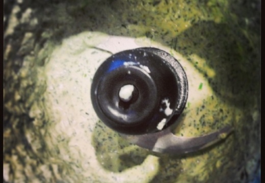 b79dae690a1a9e0b8ff2b4cd095afa90