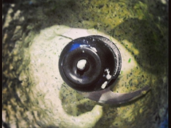 b79dae690a1a9e0b8ff2b4cd095afa90