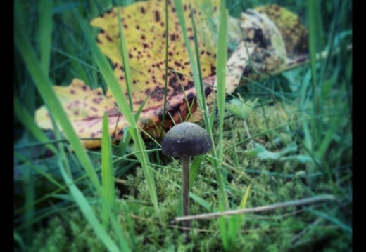 b05862e222051a3184ea95abdc35efd2