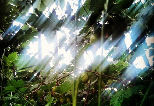 b8969c1ecc0e6b4be2be8d1145ec9832