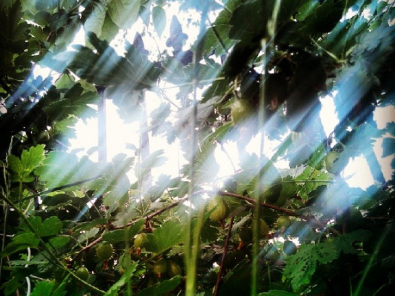 b8969c1ecc0e6b4be2be8d1145ec9832