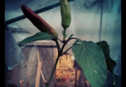 bbde3b0a915defe9be0affa4fcbd6cdc