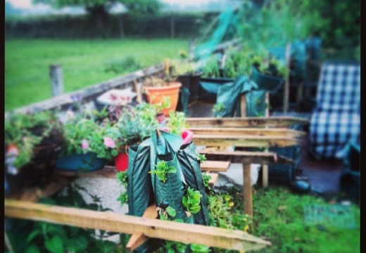 c3f871c6900097ff6a3951403cbcb7ab