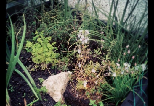 c71269e1747aa2f102ba68406a7ef022