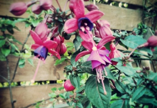 d06b1474b16cc8296e57b647677906e7