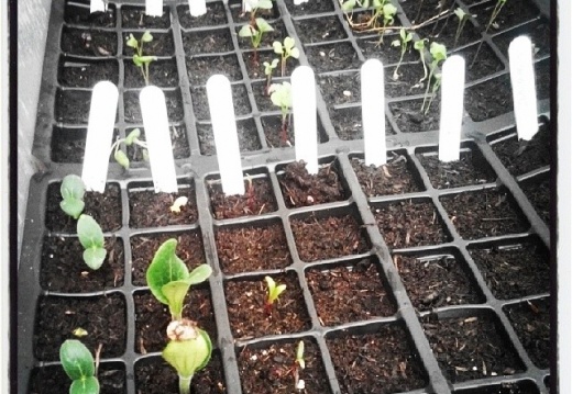 e880bec825bf2265b11bbcf33d88a9f2