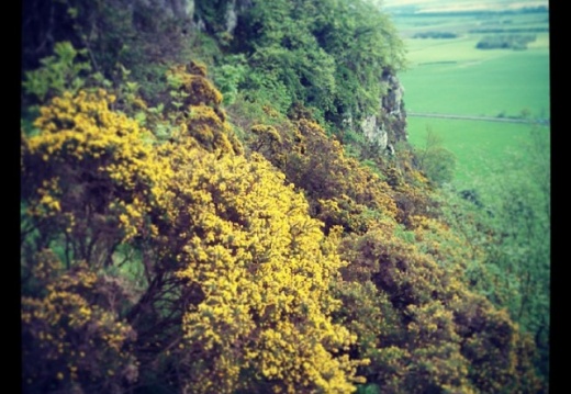 ef34cbfcba308b8bd242a92a781382e6