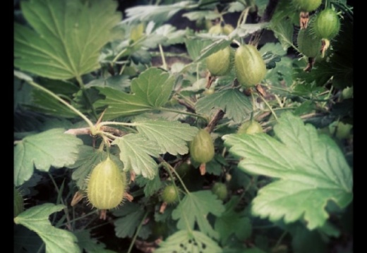 f9c7a164aee89a85e981d82bdfa0d301