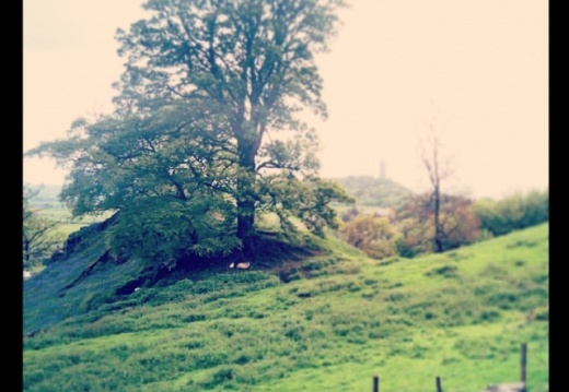 fff33af7dd4d487755b771dd98149763